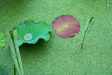 《铁拳8》“街机任务”实机演示 10月20日B测开始